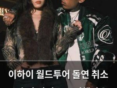 이하이 월드투어 돌연 취소 소속사 아티스트 귀책사유 아님 공식입장 썸네일